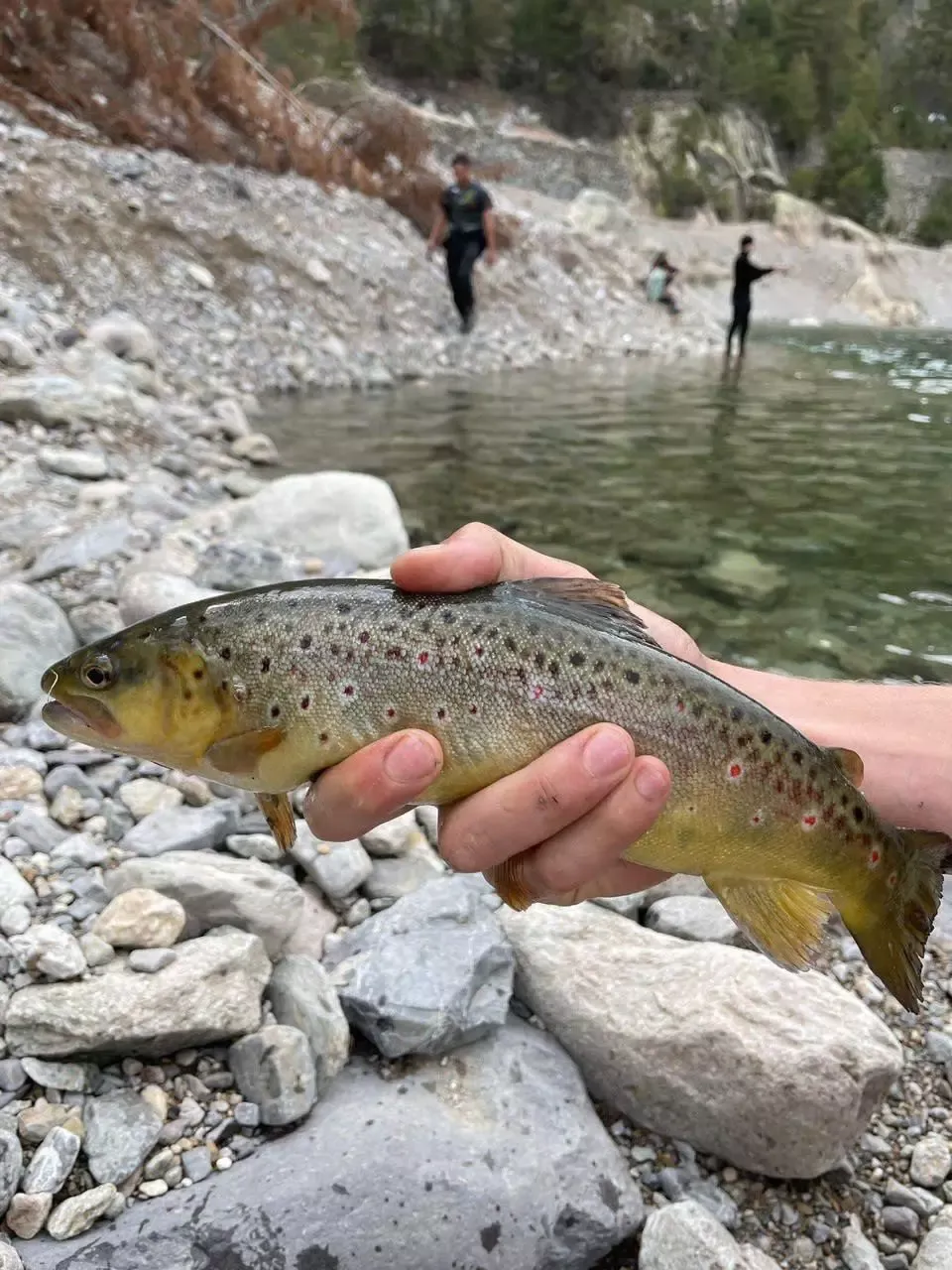 Activités dans la Vallée des Merveilles autour de l'Hôtel du Centre Tende, photo 7